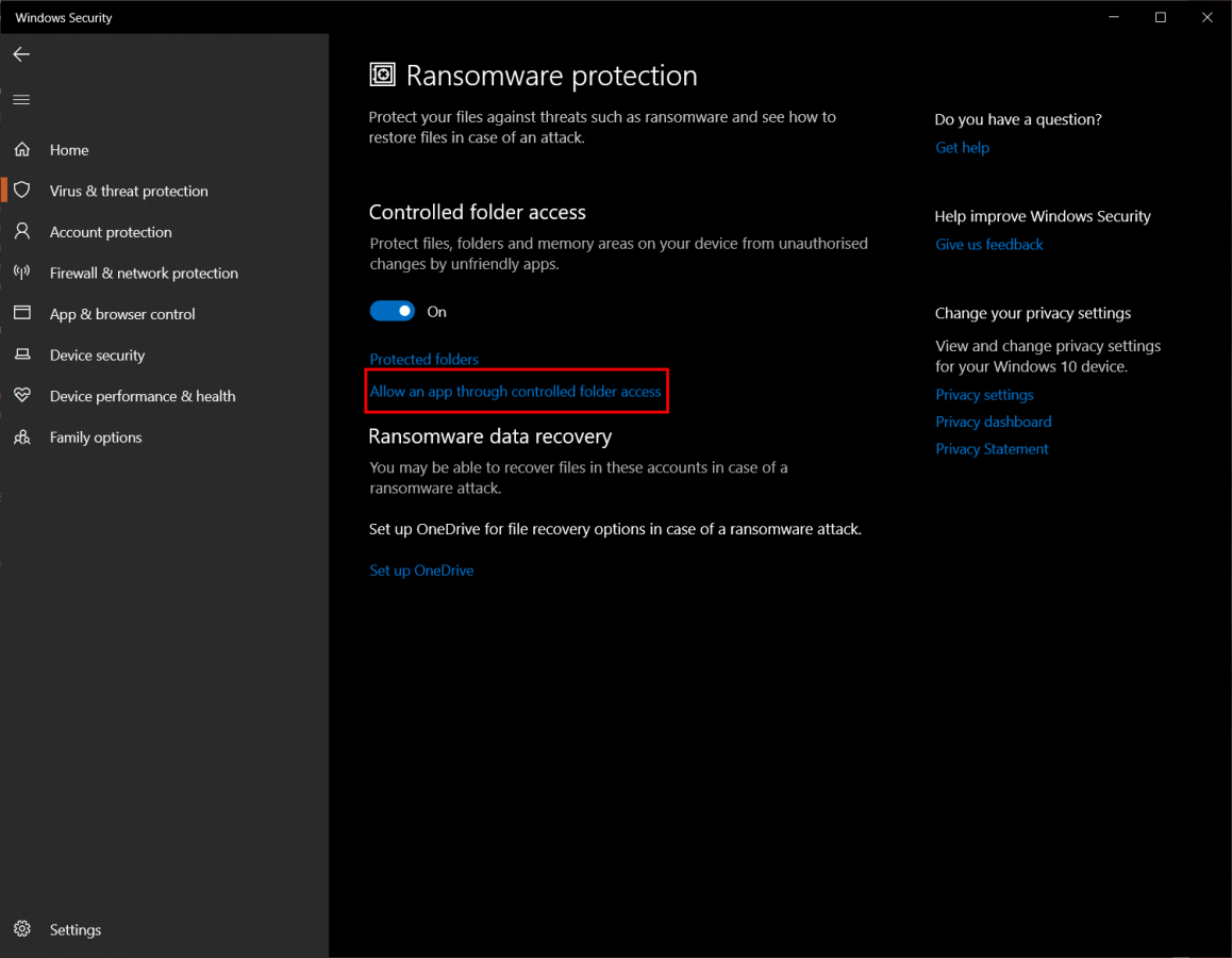 Windows Ransomware Protection settings with the "Allow an app through controlled folder access" option highlighted